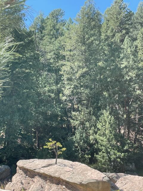 Castlewood Canyon Trail